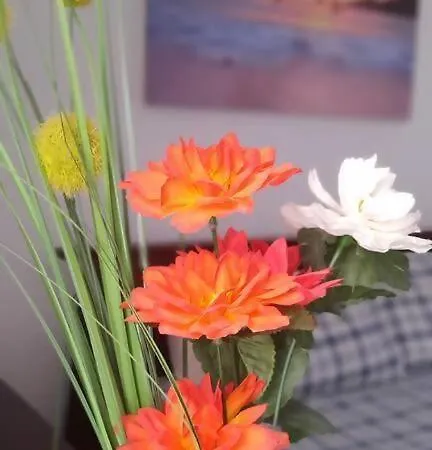 Appartement Surf Wifi Famara