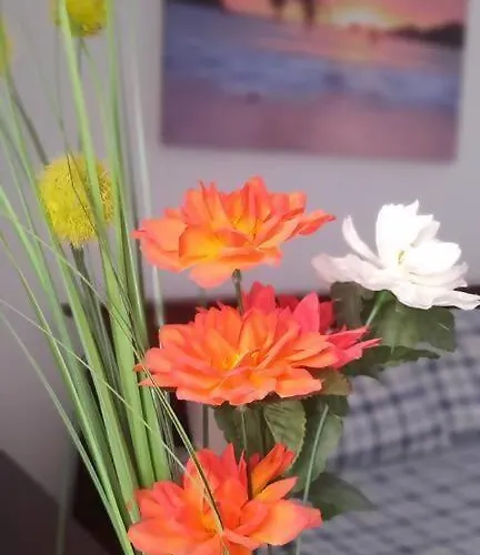 Appartement Surf Wifi Famara